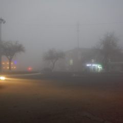 DSCN5568