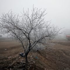 Copyright (C) 2010, Nikolai Malykh