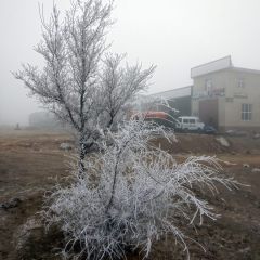 Copyright (C) 2010, Nikolai Malykh