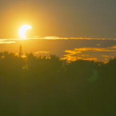 DSX_0486-curve-nr
