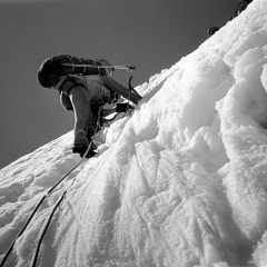 L278-1-rotate-50-AL-clear-unsharp-MLC-bHPF-300