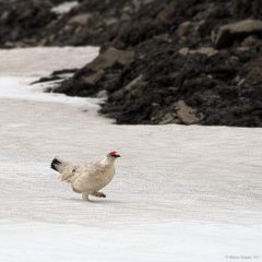 Copyright (C) 2013, Nikolai Malykh