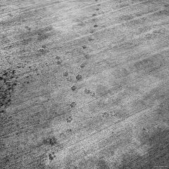 Copyright (C) Nikolai Malykh