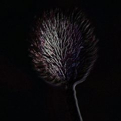 Copyright (C) 2006, Nikolai Malykh